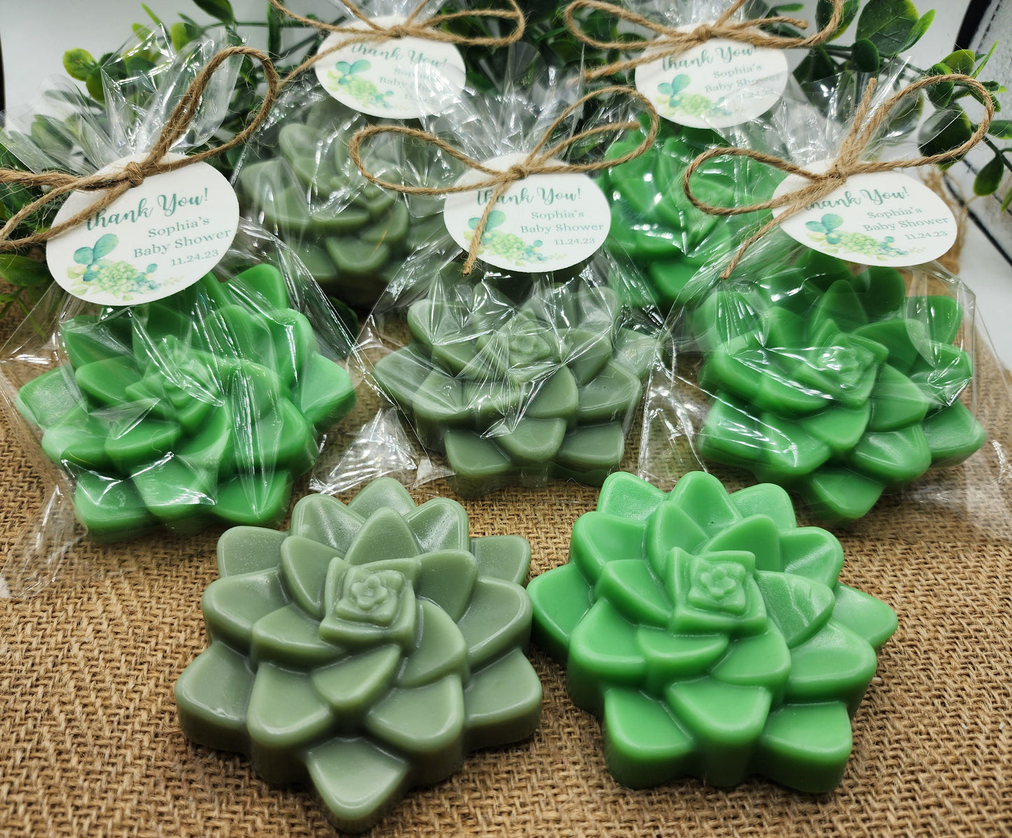 Succulent Soap Favors Baby Shower Favors Bridal Shower Favors Cactus Wedding Party Decorations Handmade Soap Gift